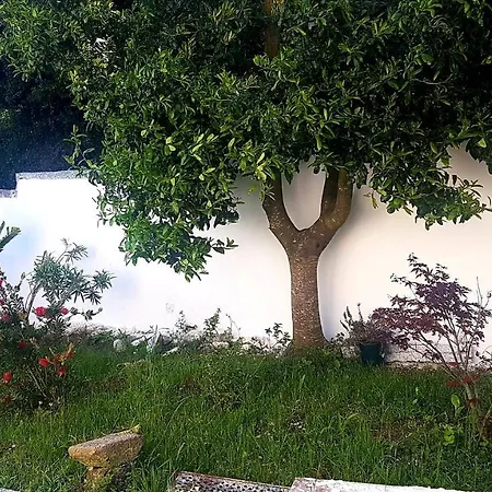 Casa Aguete Apartment Ardan Exterior photo